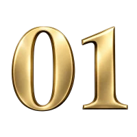 01